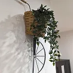 Appartement Amari *
