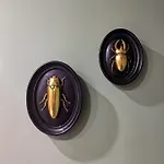 Amari * Κατάνια
