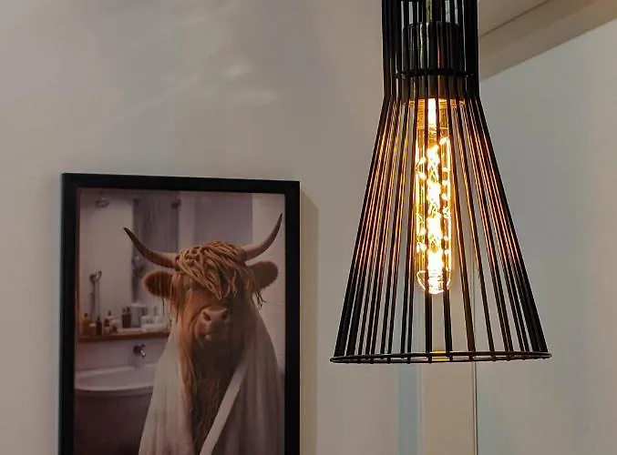 Amari * 卡塔尼亚