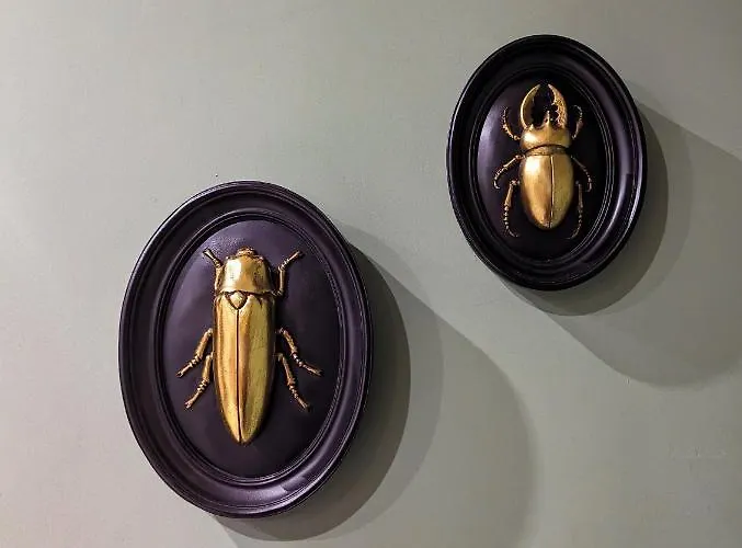 Amari * 卡塔尼亚