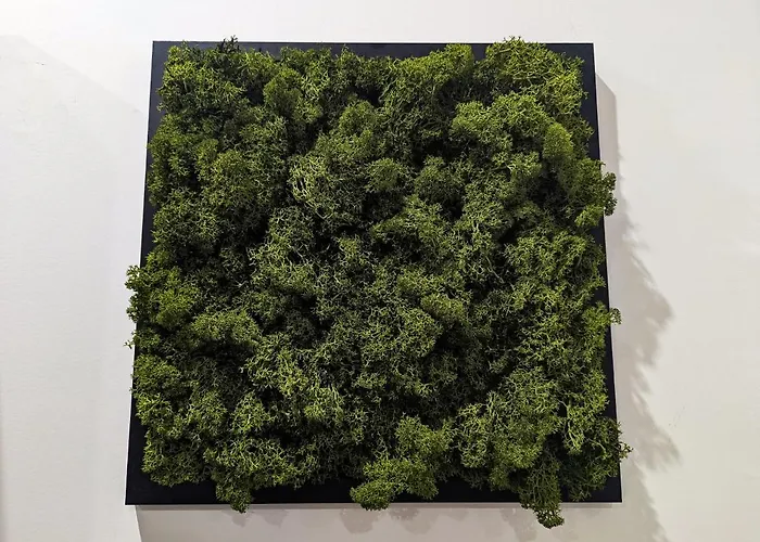 公寓 Amari 卡塔尼亚