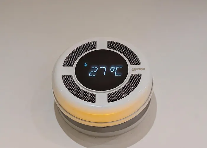 Amari * 卡塔尼亚